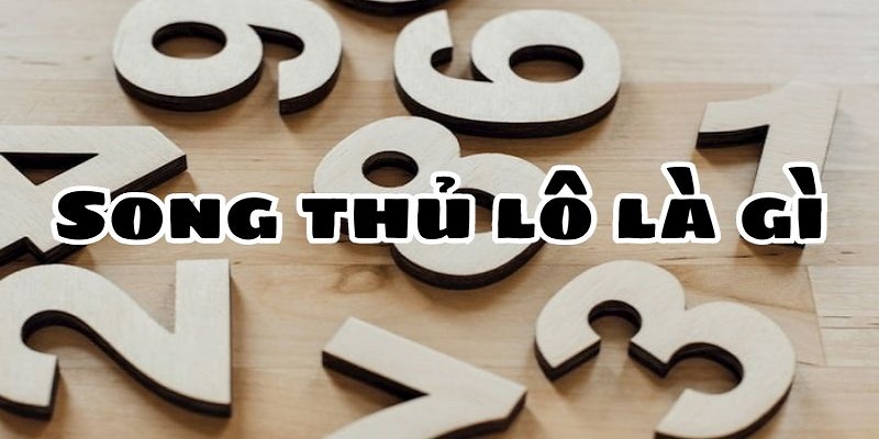 Giới thiệu song thủ lô là gì?